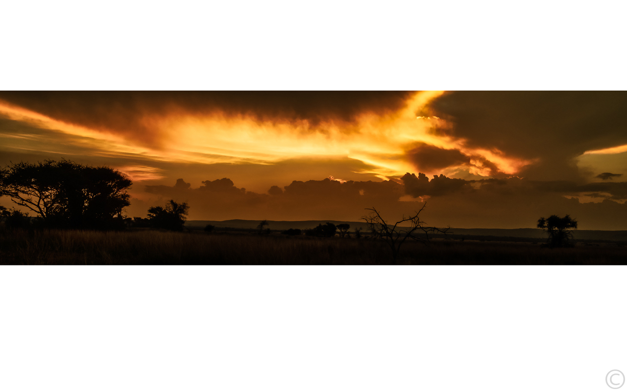 Melbourne Camera Club