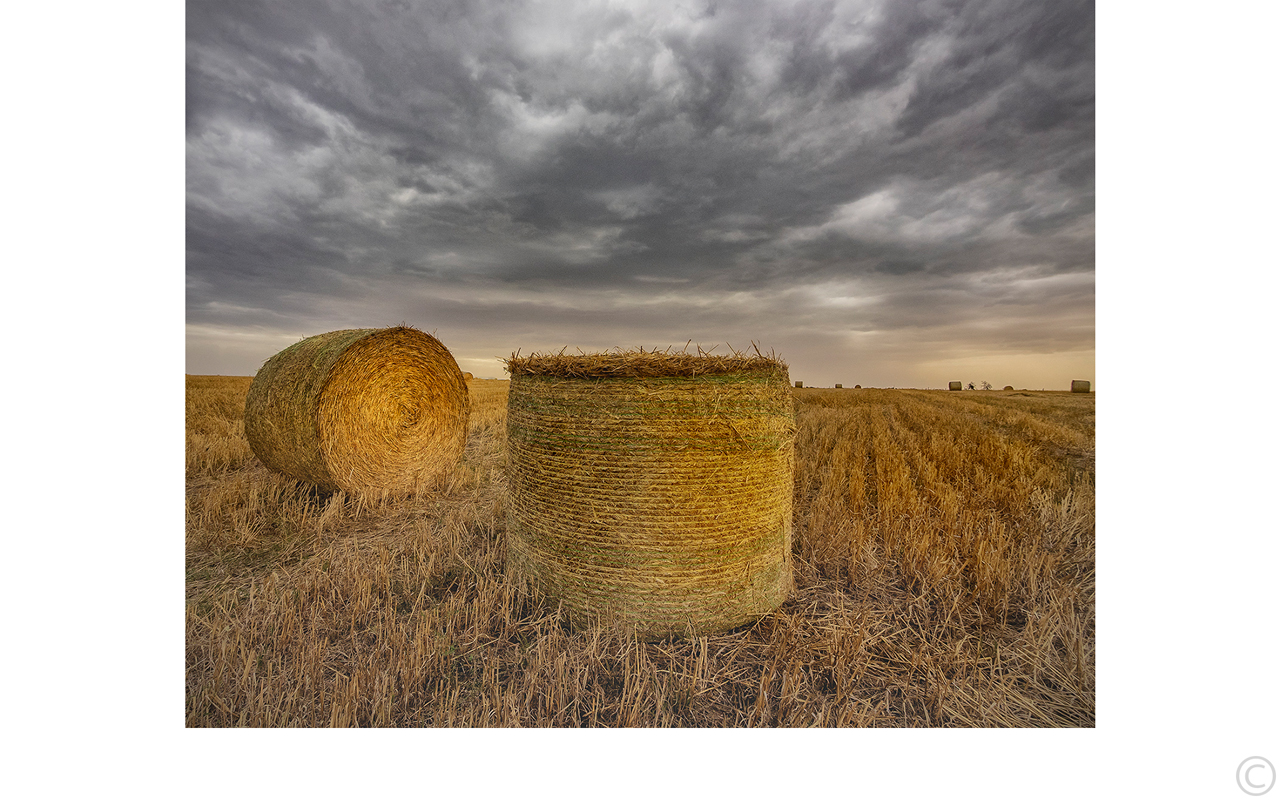 Melbourne Camera Club