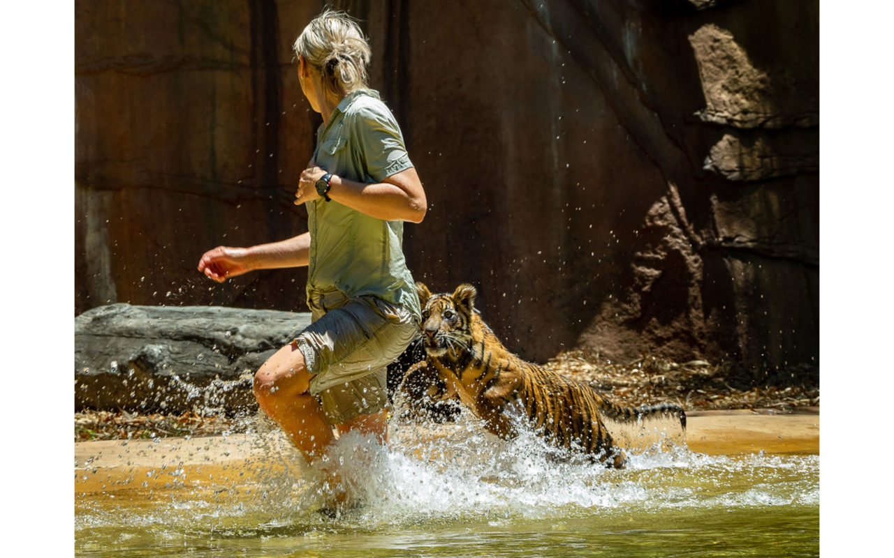 The Melbourne Camera Club Melbourne Camera Club