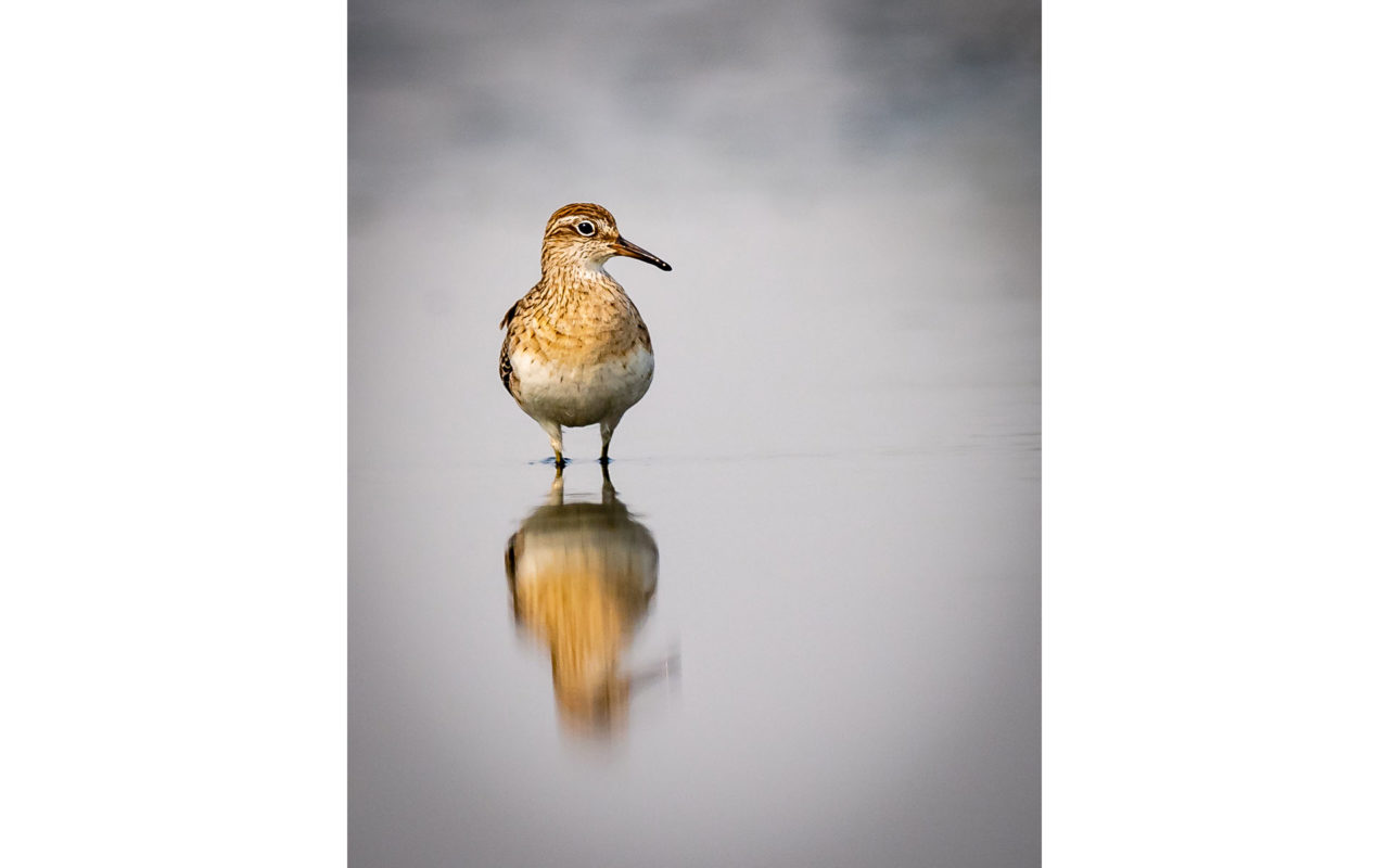 Melbourne Camera Club