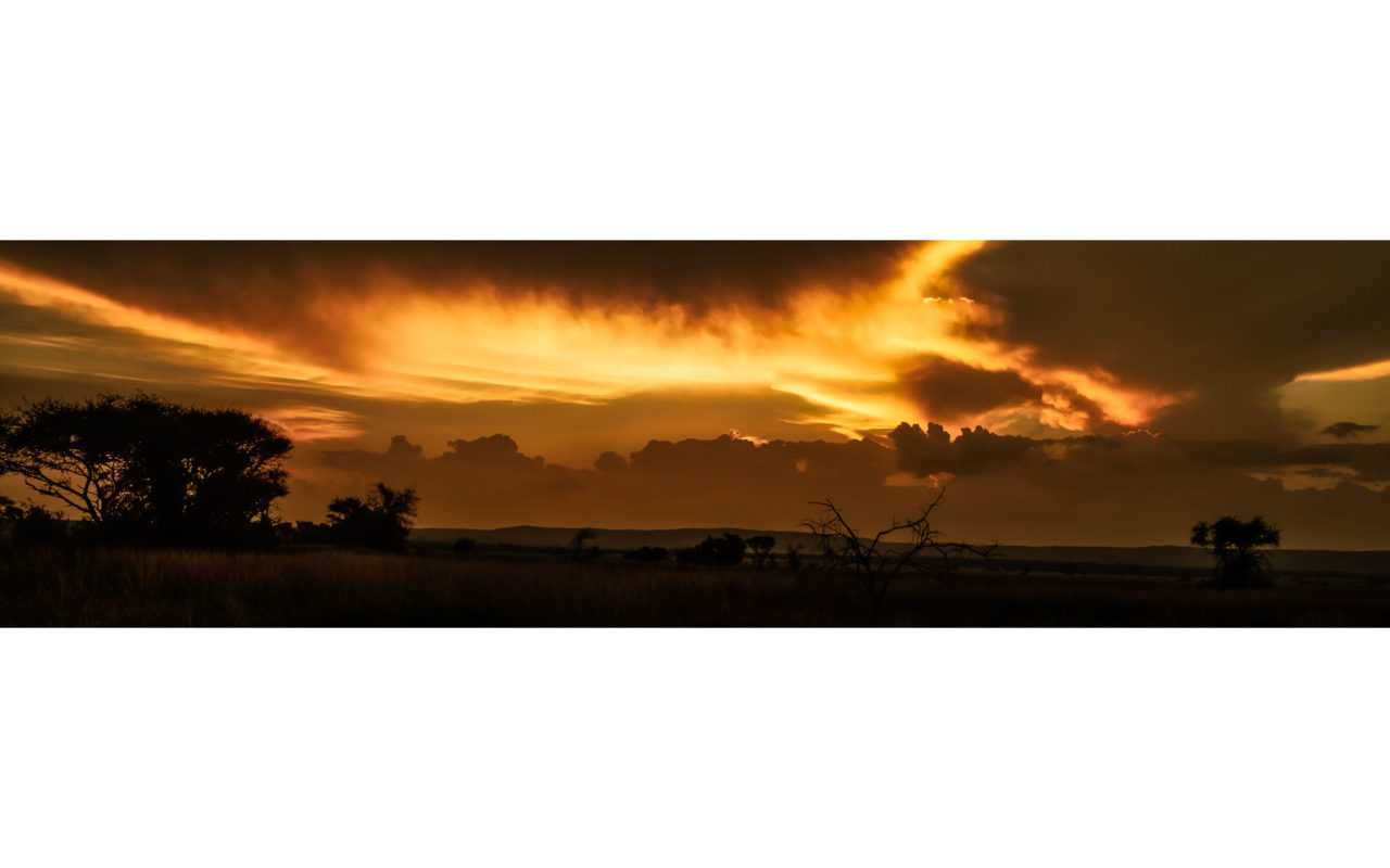Melbourne Camera Club