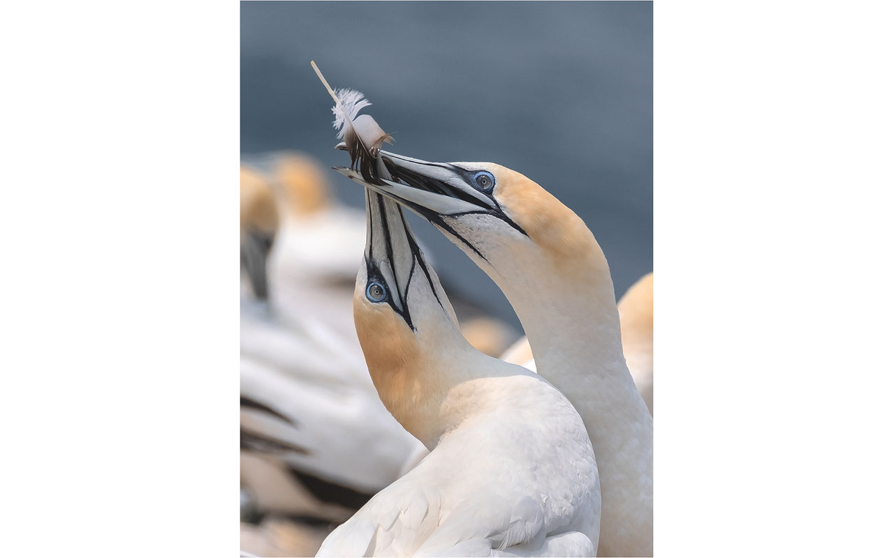 Melbourne Camera Club