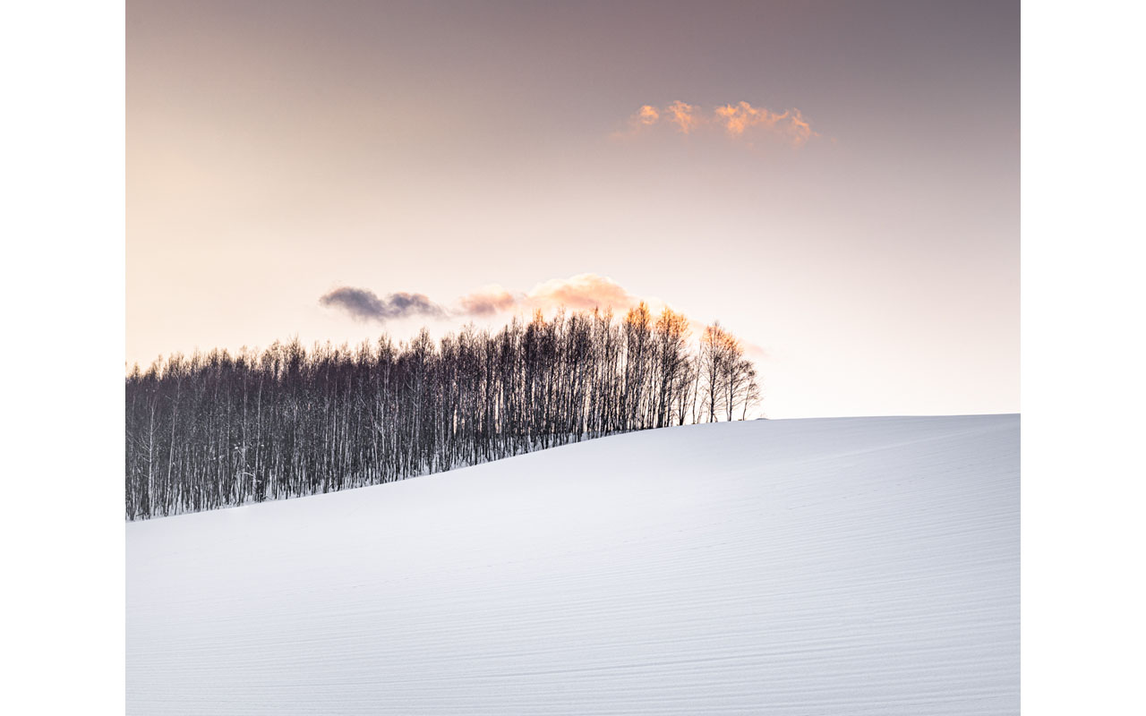 Melbourne Camera Club