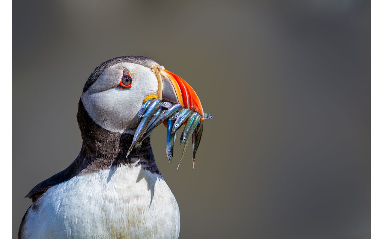 Melbourne Camera Club