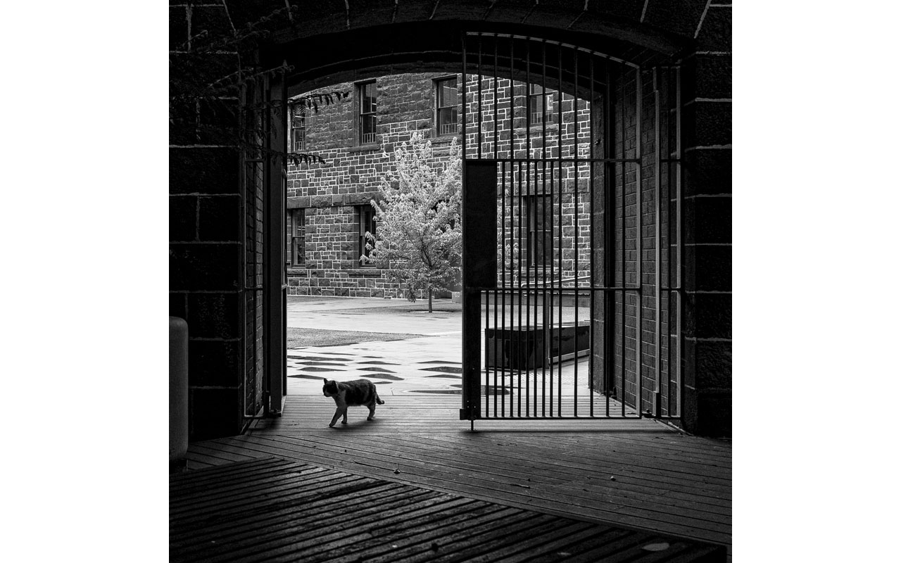 Melbourne Camera Club