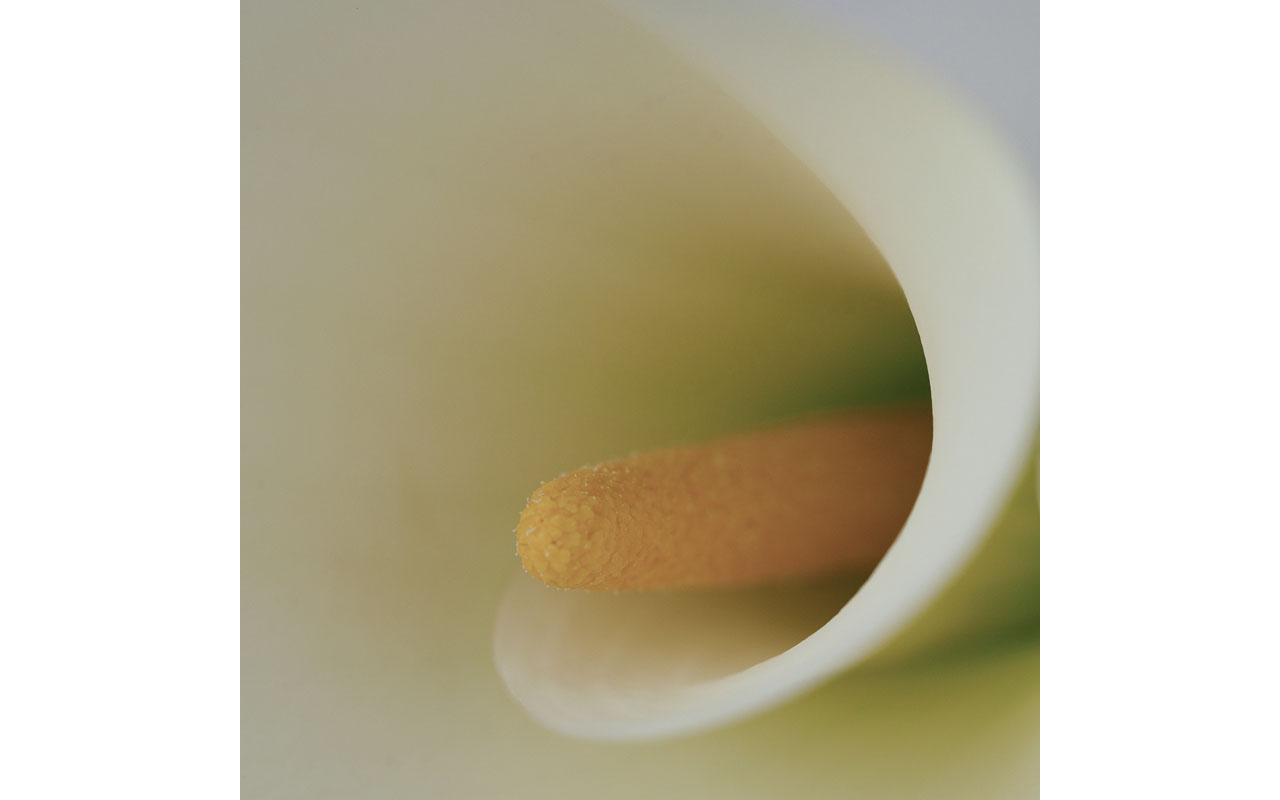 The Melbourne Camera Club Melbourne Camera Club