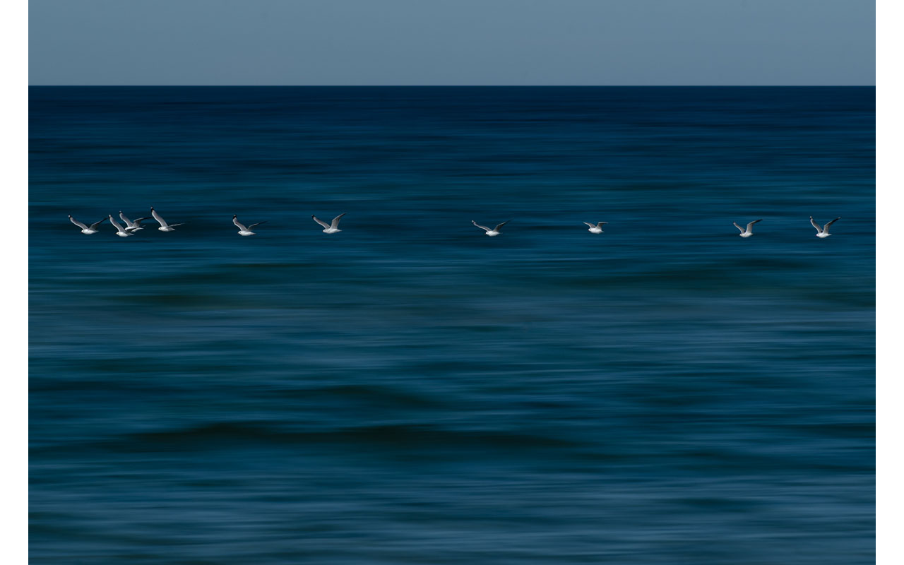 Melbourne Camera Club