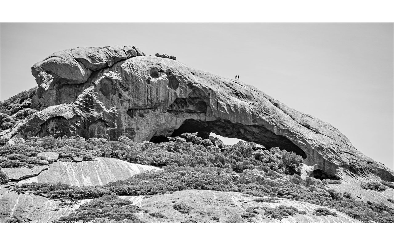 Melbourne Camera Club