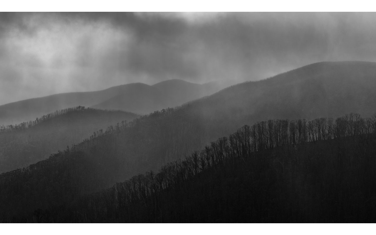 Melbourne Camera Club