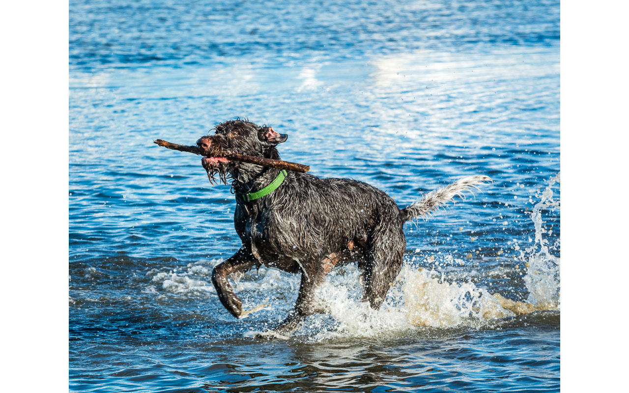 Melbourne Camera Club