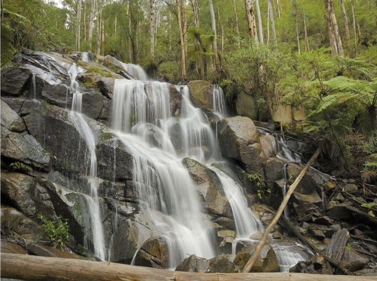Melbourne Camera Club A Premium Photography Club in Melbourne