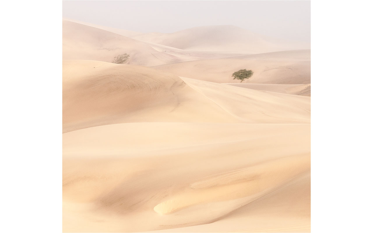 Melbourne Camera Club