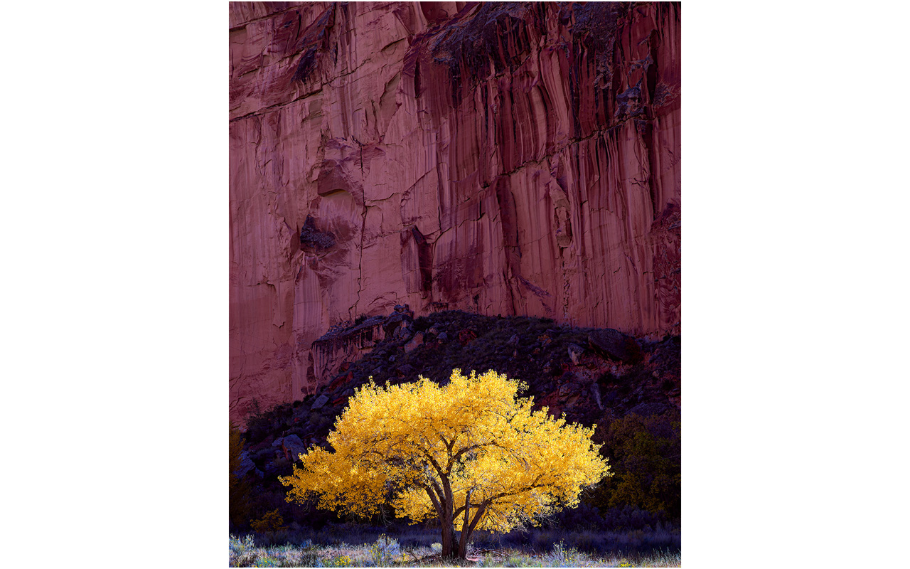 Melbourne Camera Club