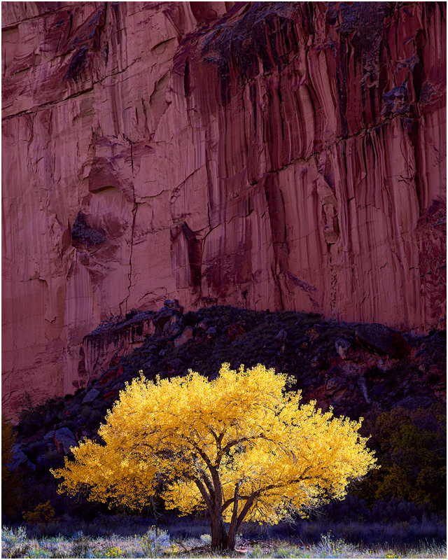 Melbourne Camera Club