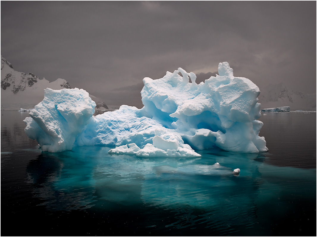 Melbourne Camera Club