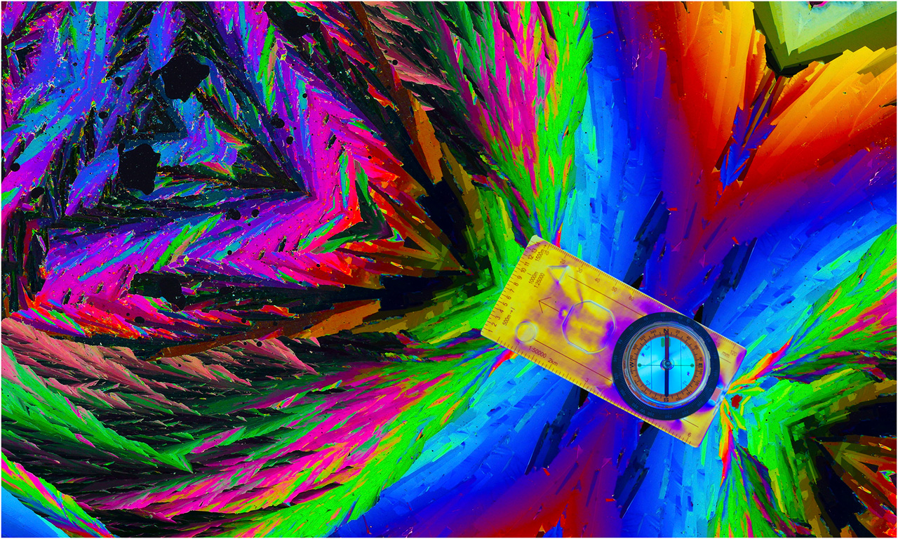 Melbourne Camera Club