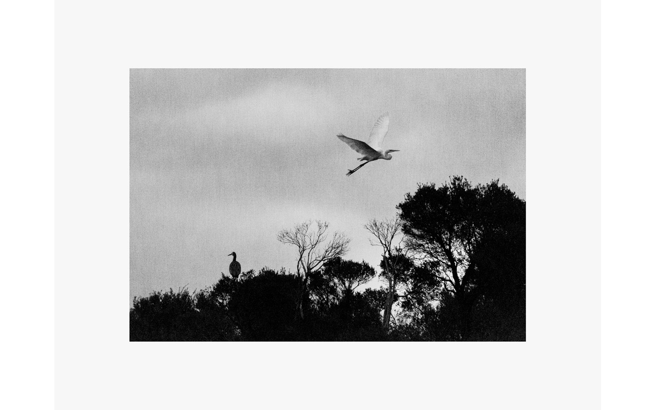 Melbourne Camera Club