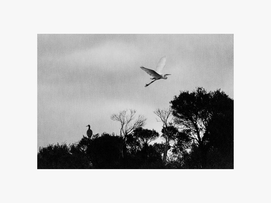 Melbourne Camera Club