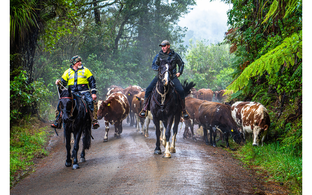 Melbourne Camera Club