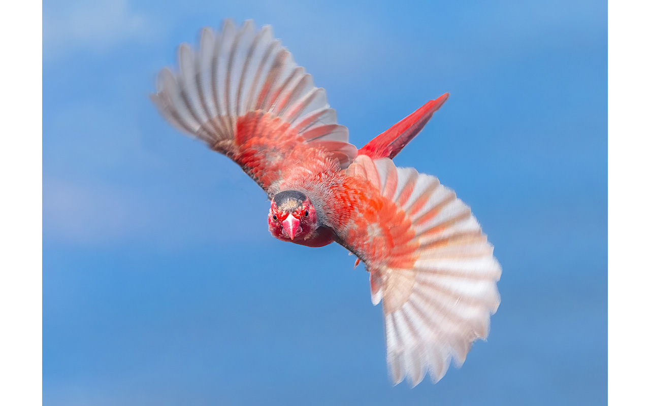 Melbourne Camera Club