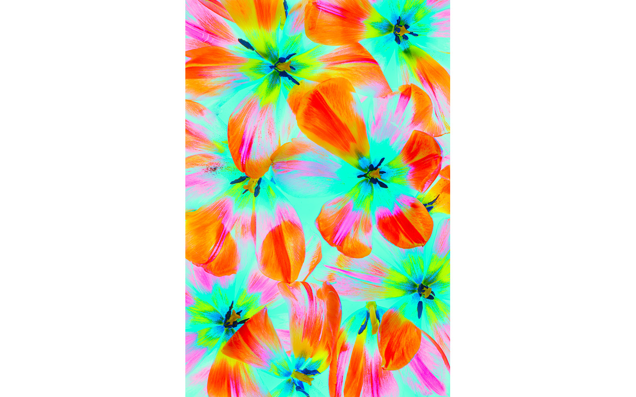 Melbourne Camera Club