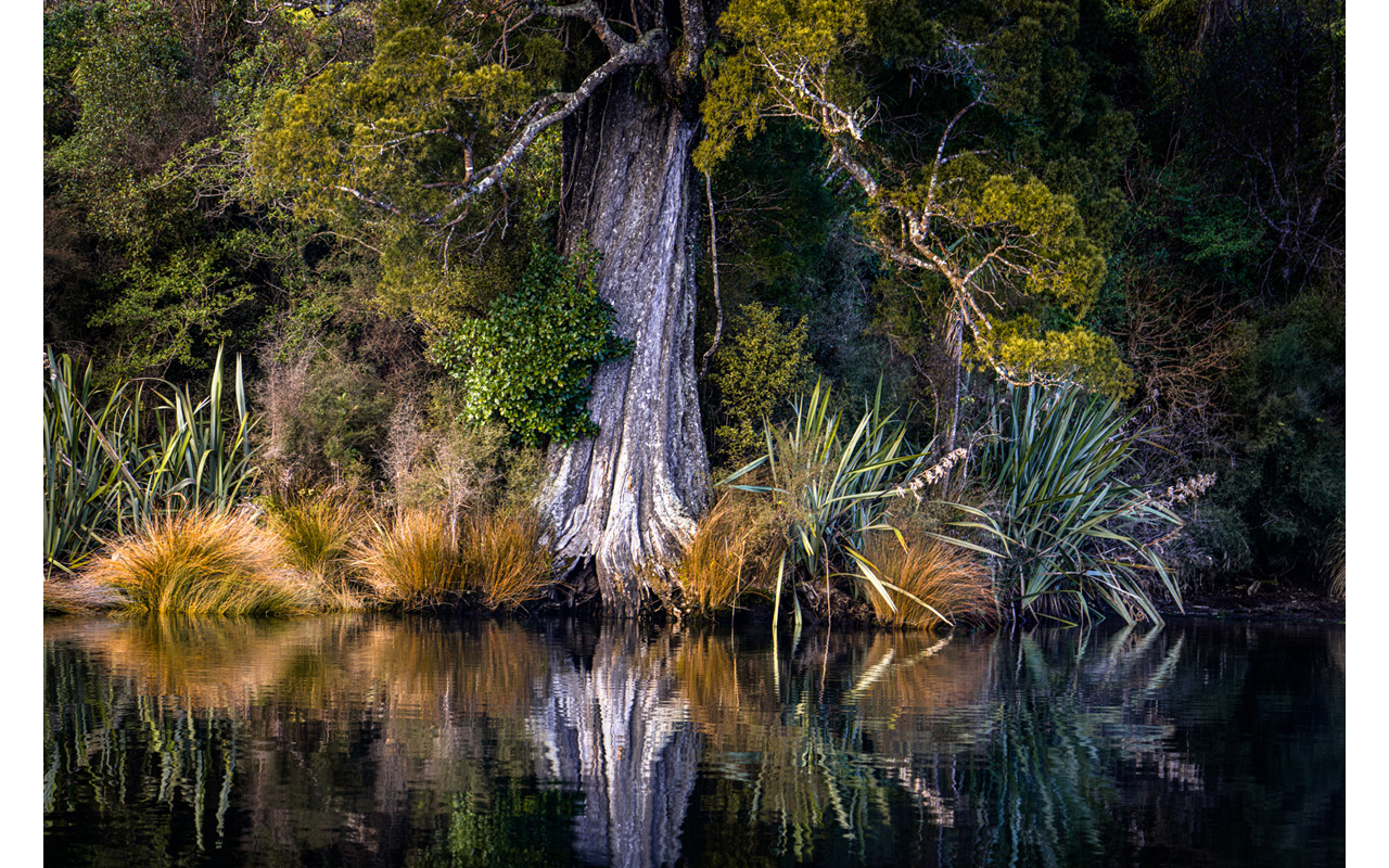 Melbourne Camera Club