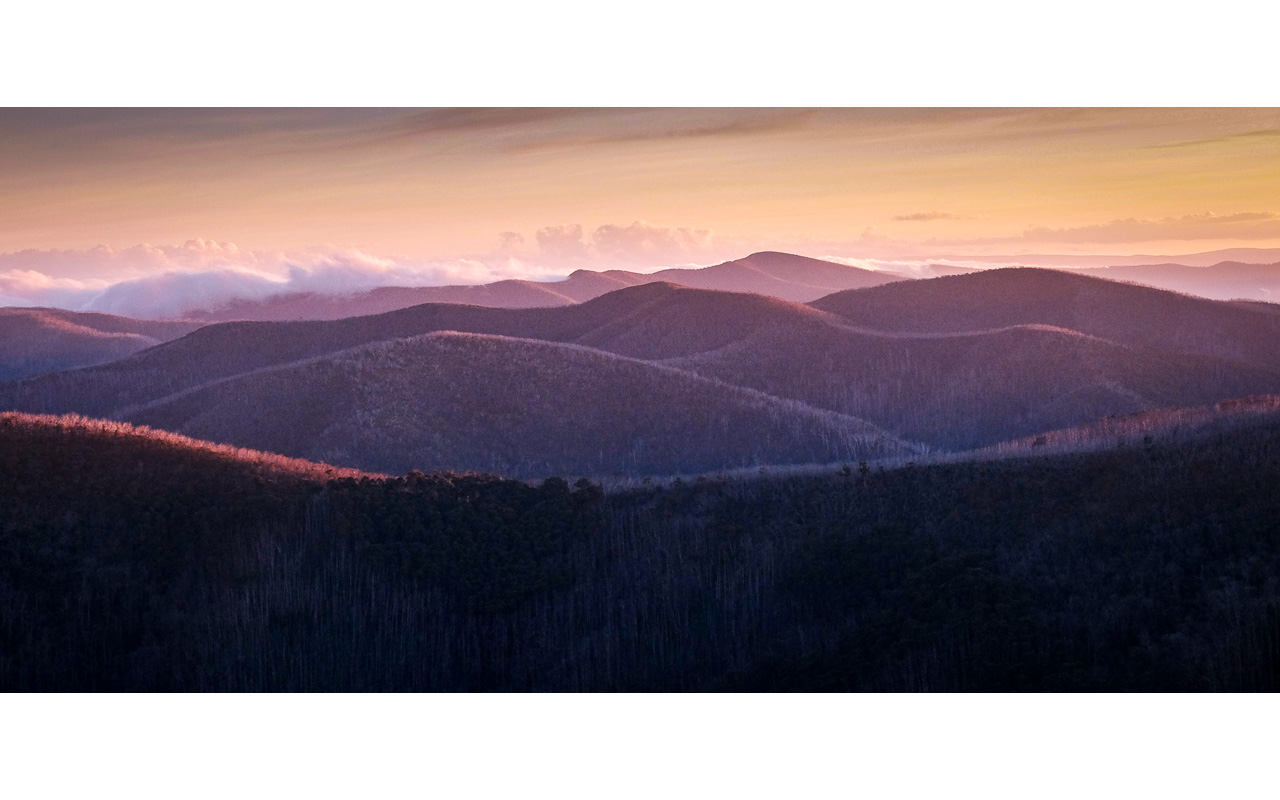 Melbourne Camera Club