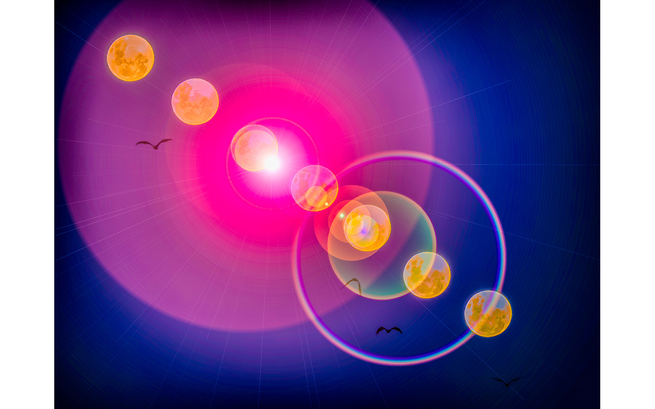 Melbourne Camera Club