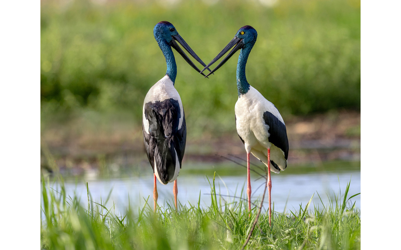 Melbourne Camera Club