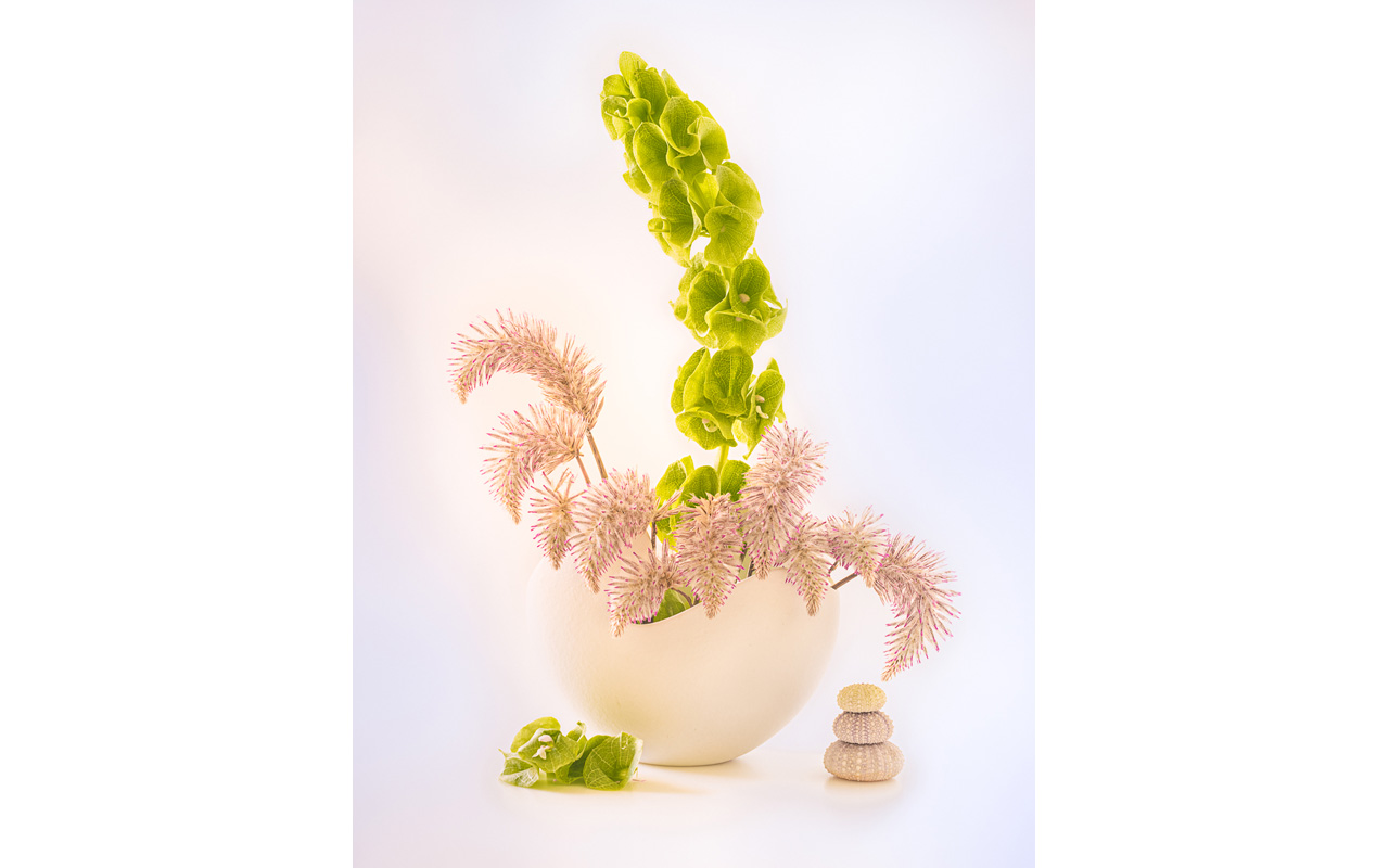 Melbourne Camera Club