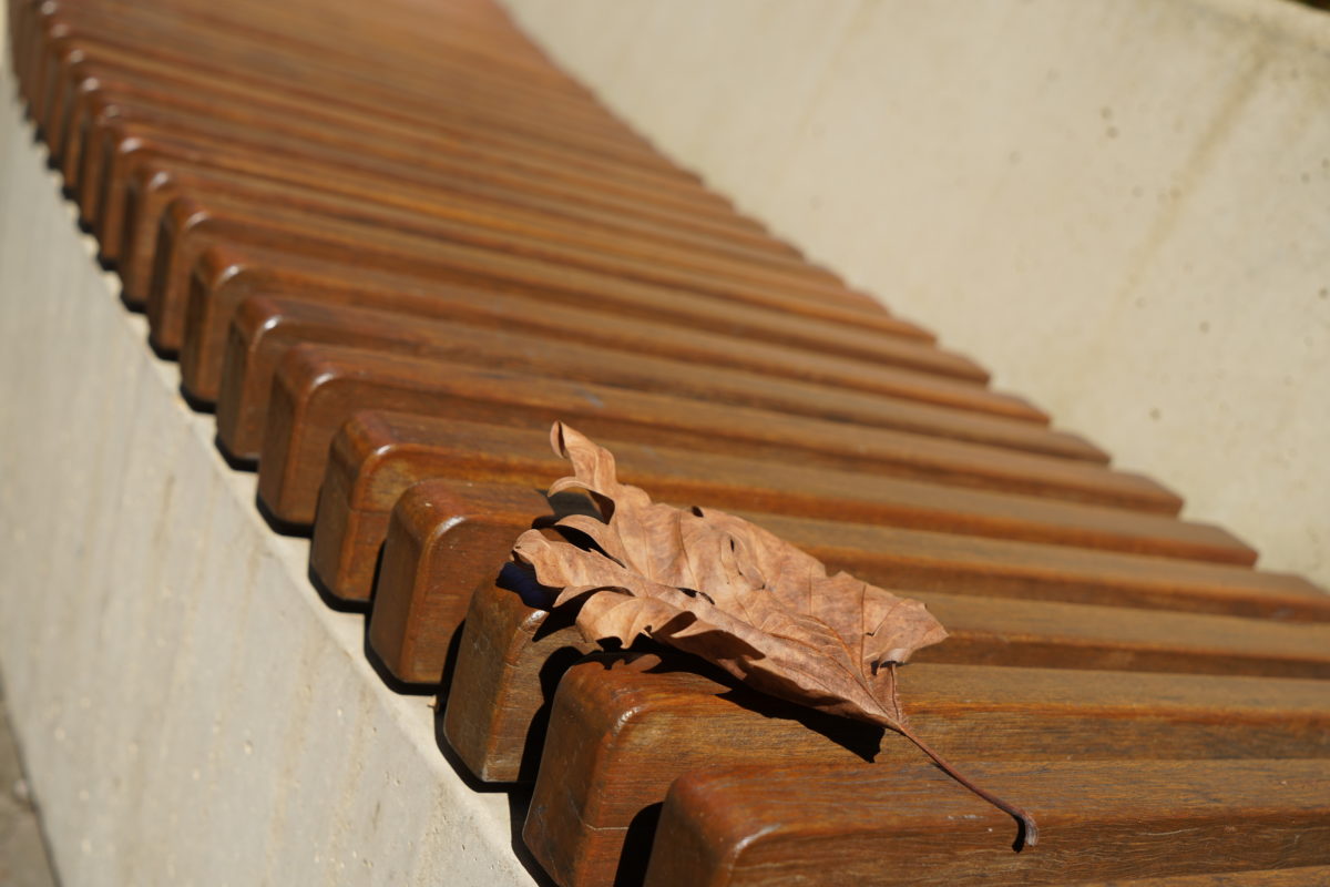 Melbourne Camera Club