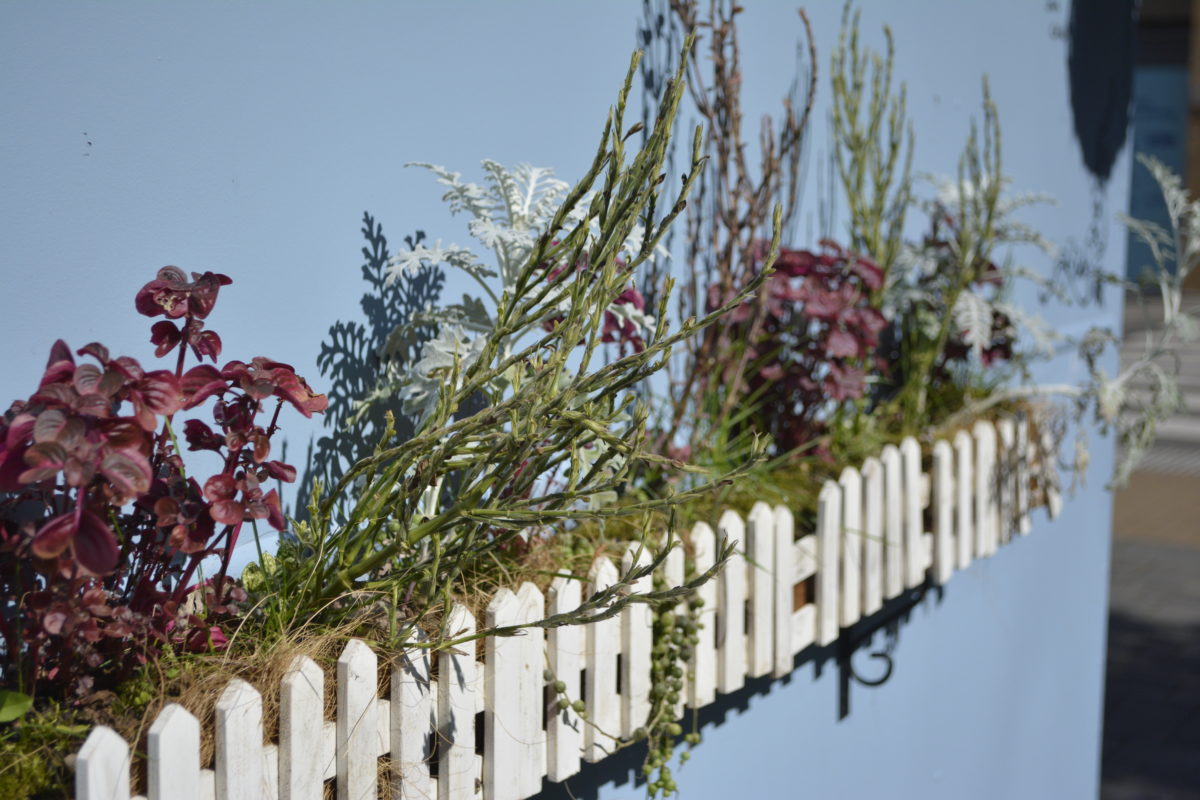 Melbourne Camera Club