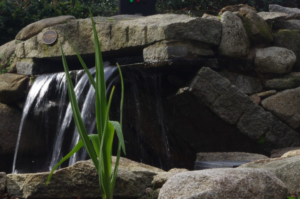 Melbourne Camera Club