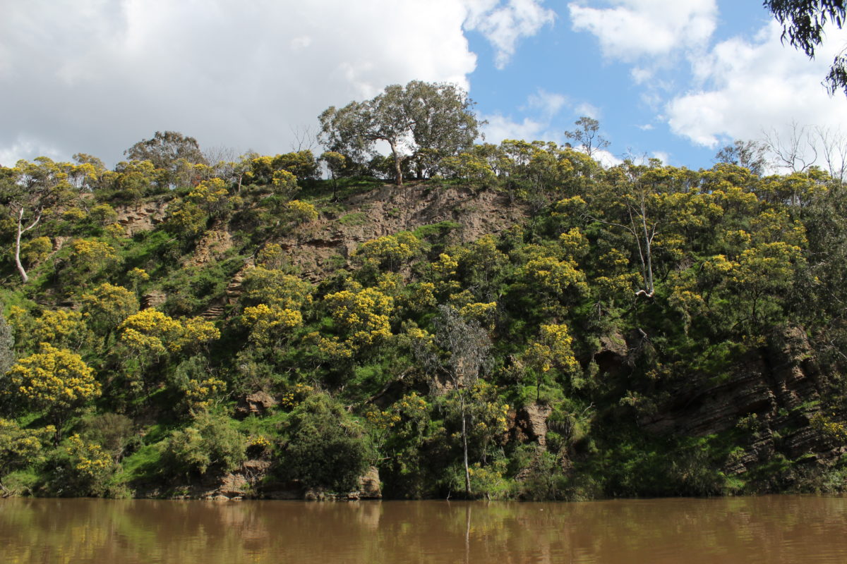 Melbourne Camera Club