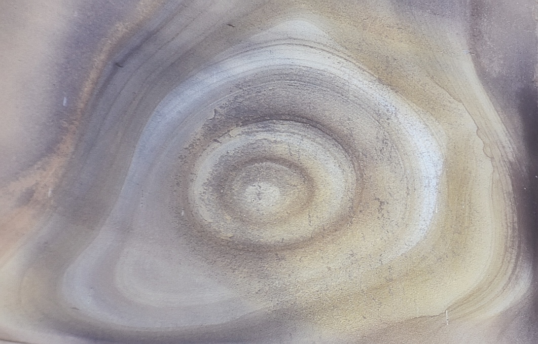 Melbourne Camera Club