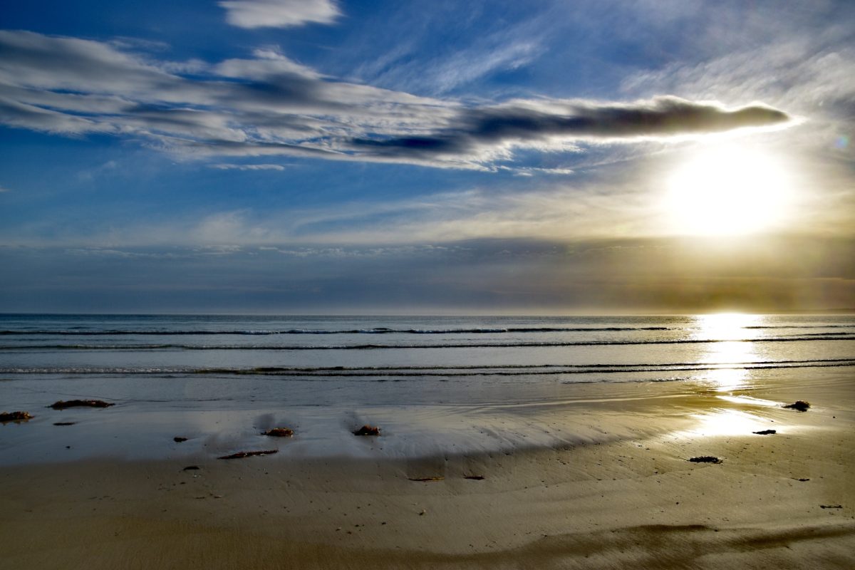 Melbourne Camera Club