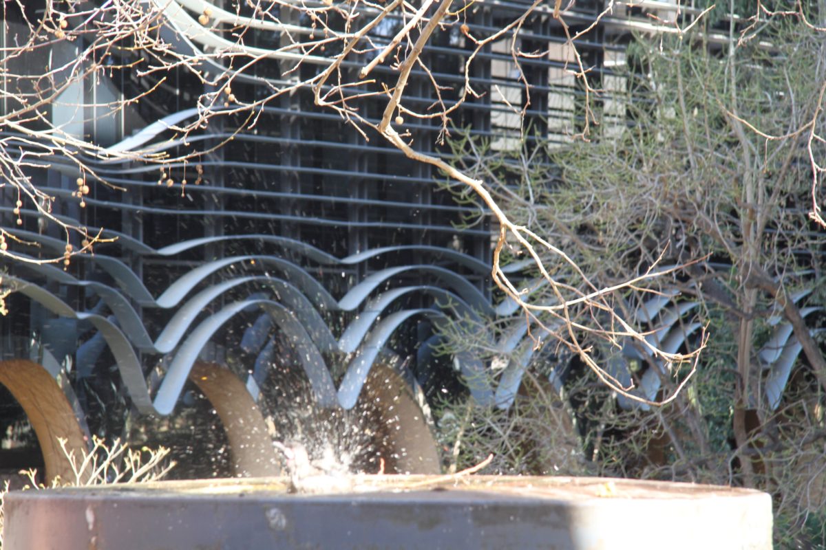 Melbourne Camera Club