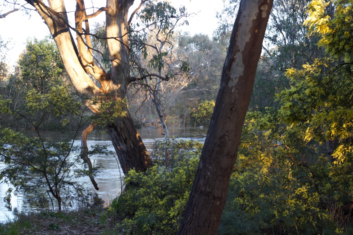 Melbourne Camera Club