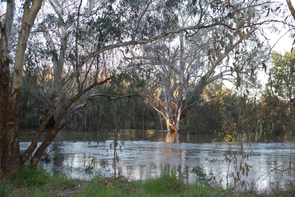 Melbourne Camera Club