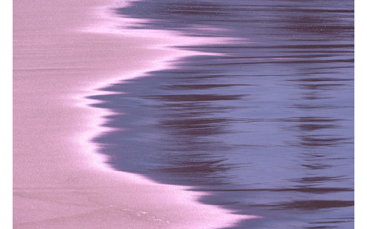 Melbourne Camera Club