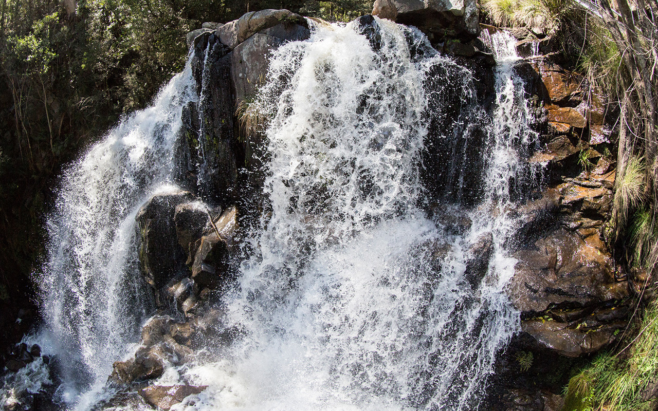 Melbourne Camera Club