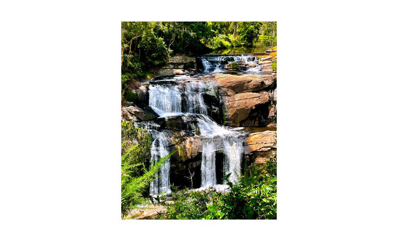 Melbourne Camera Club