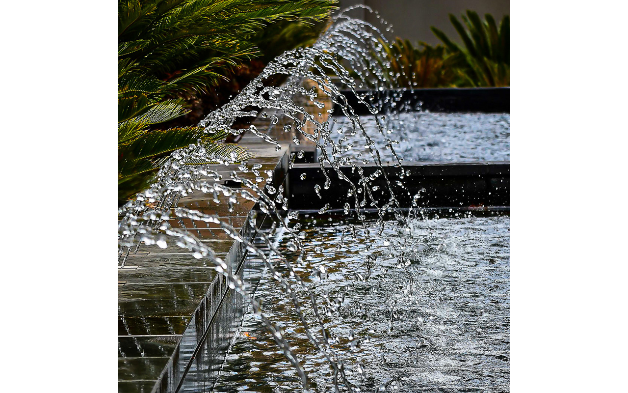 Melbourne Camera Club