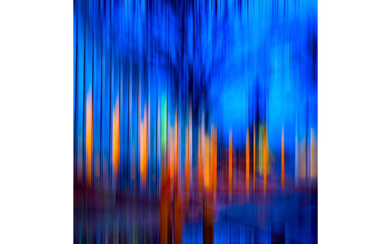 Melbourne Camera Club