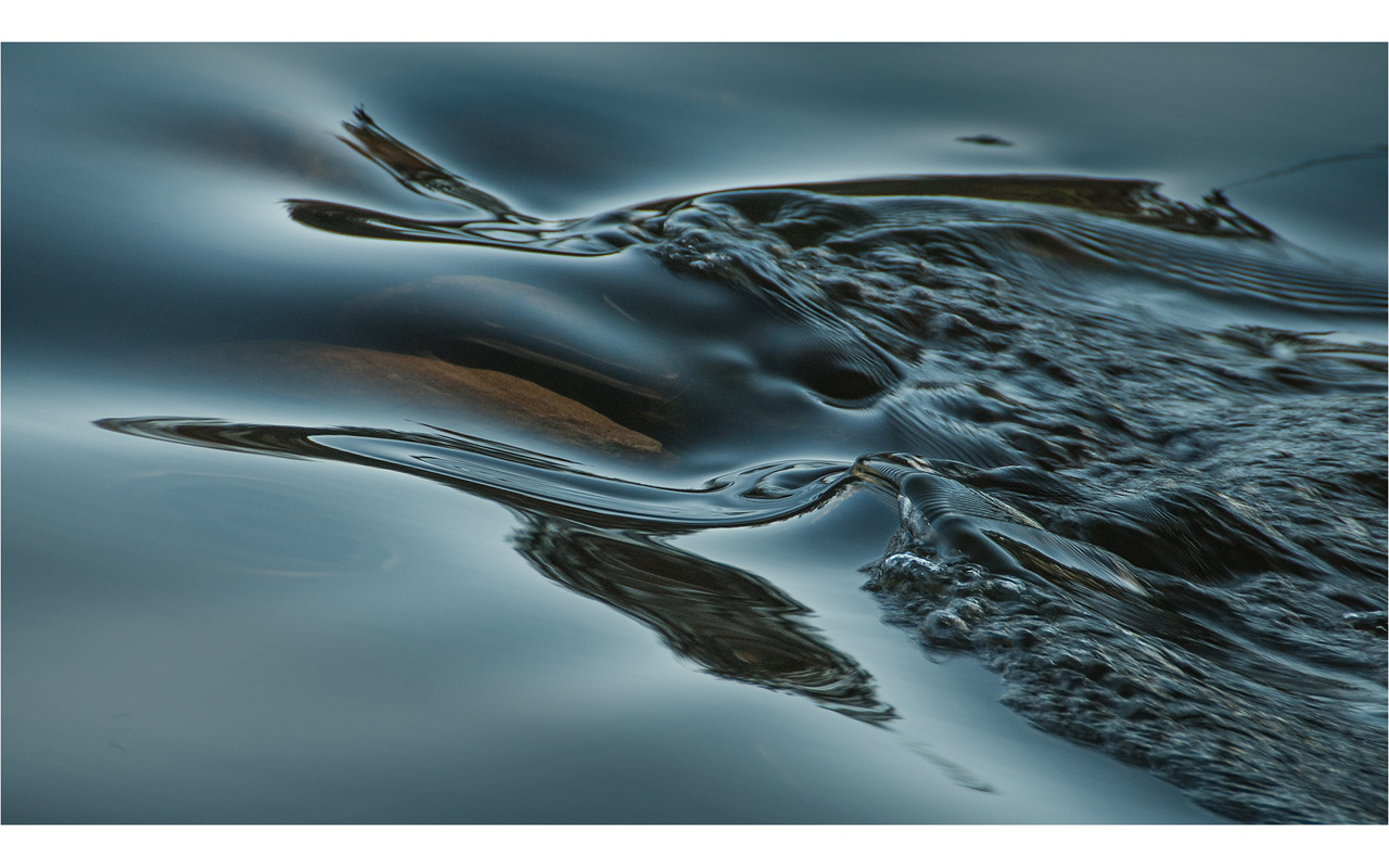 Melbourne Camera Club