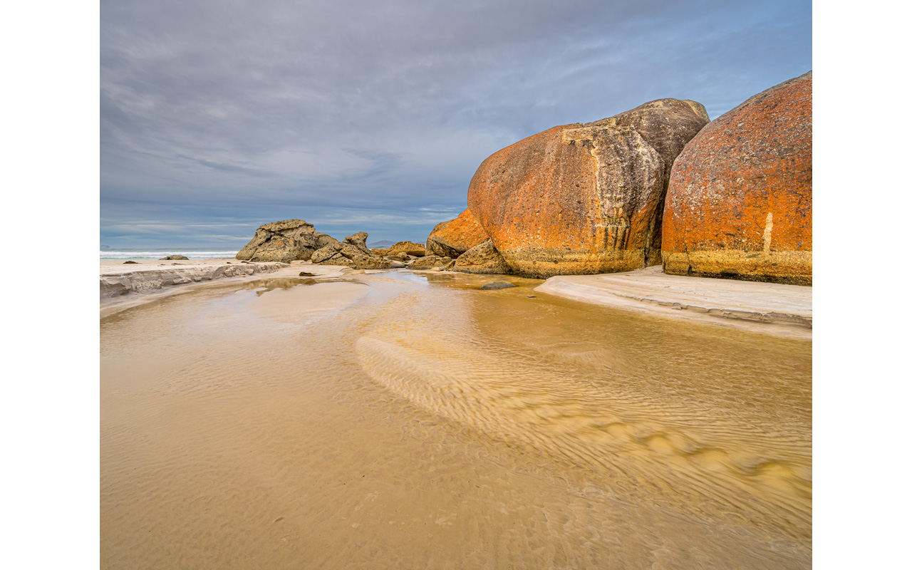 Melbourne Camera Club