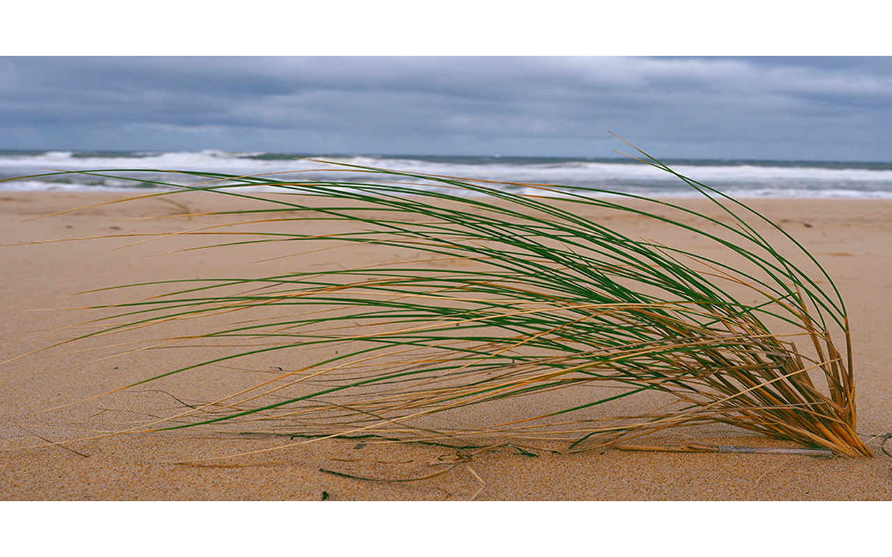 Melbourne Camera Club