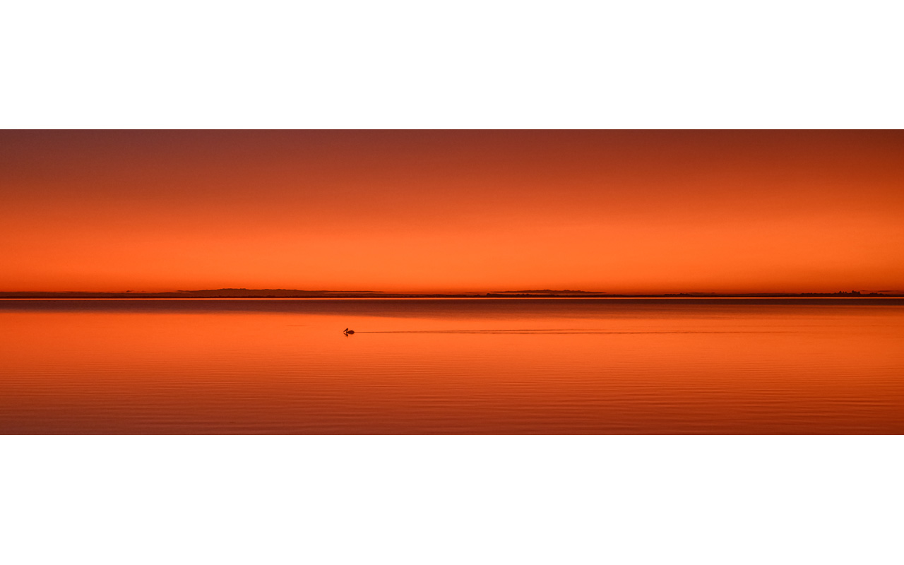 Melbourne Camera Club