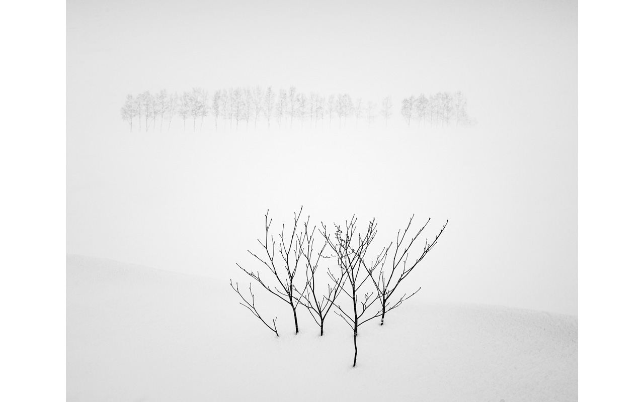Melbourne Camera Club