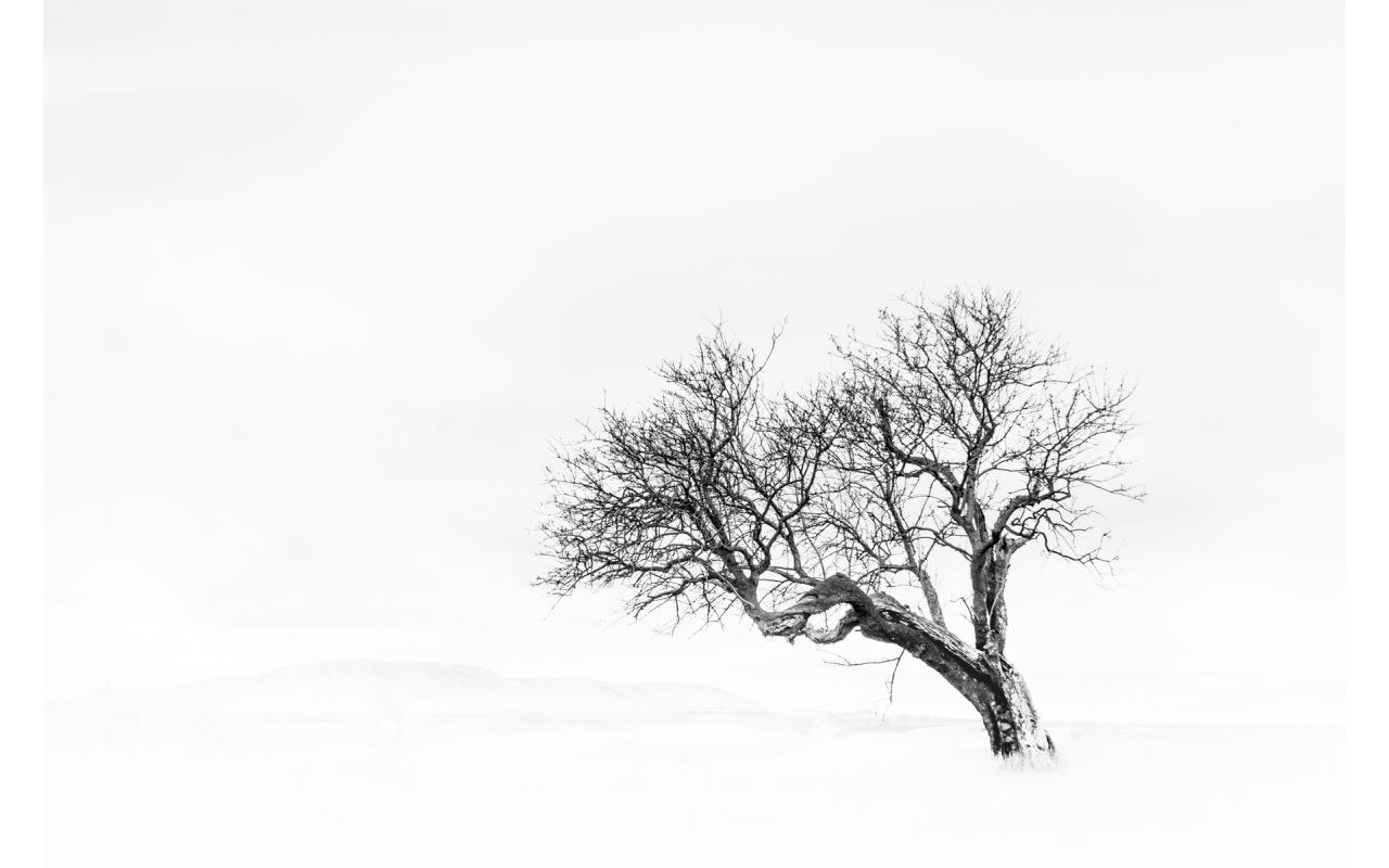 Melbourne Camera Club